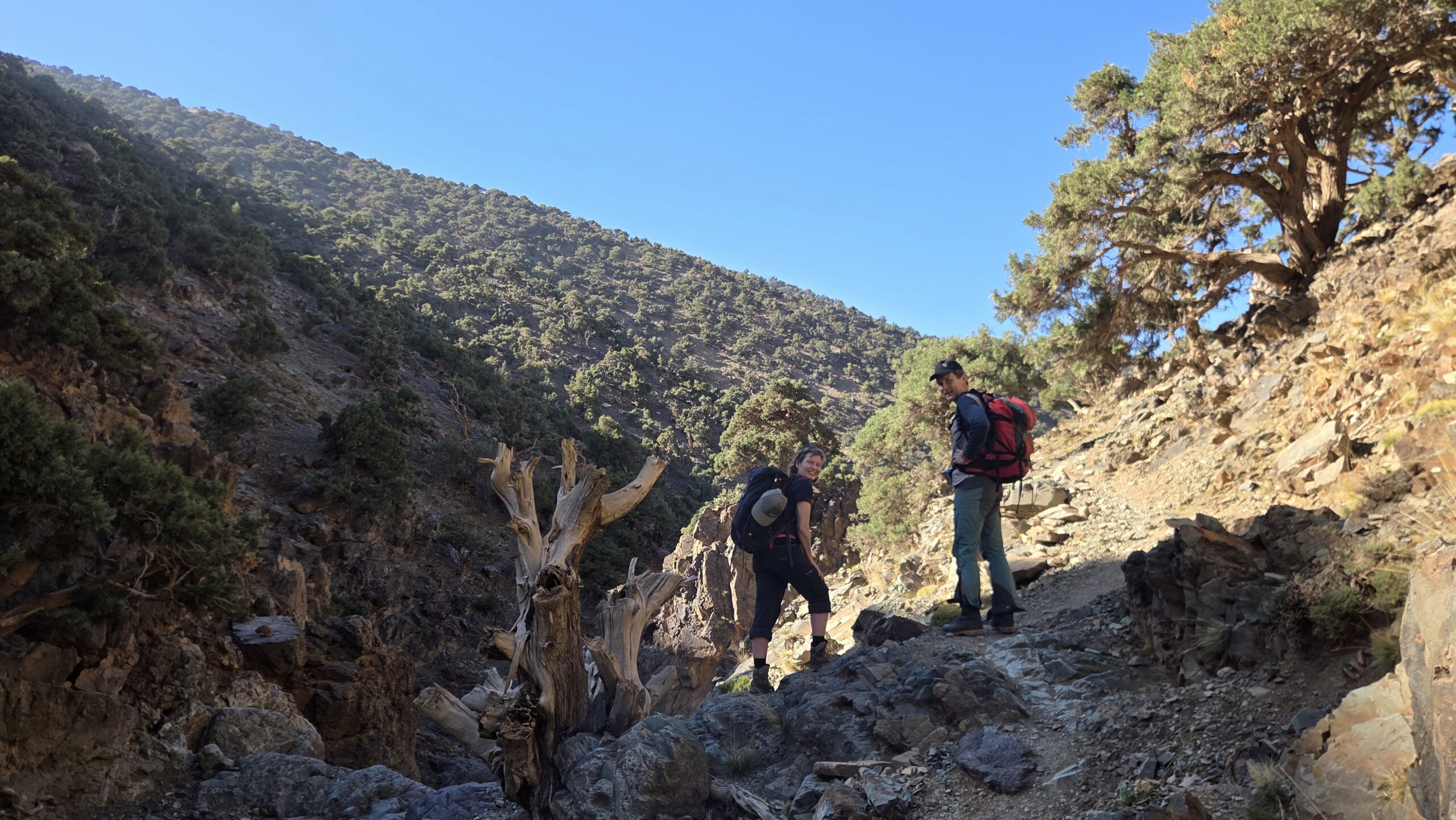 Best Trekking Tours in the Atlas Mountains Morocco