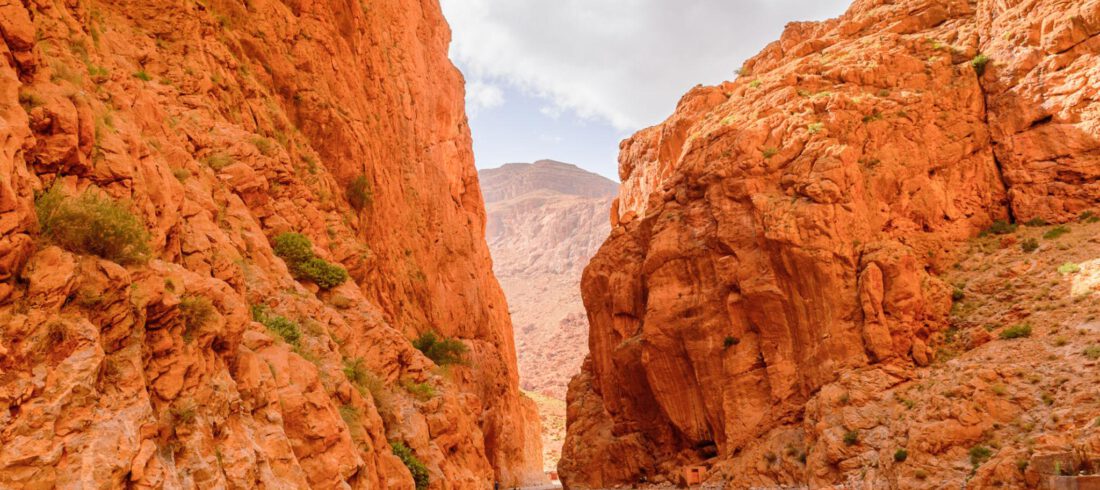 5 Days Atlas Mountains Day Hike and Sahara Desert Adventure