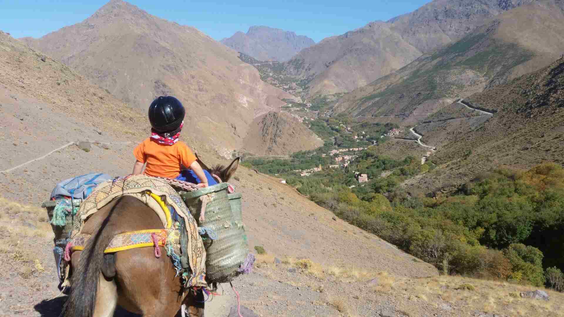 Combined Mule Riding and Hiking Day trip in Atlas Mountains