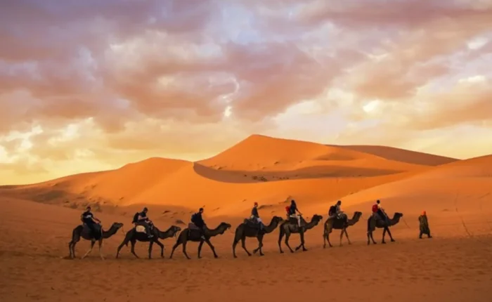 Expedición de 3 días al desierto del Sáhara desde Marrakech